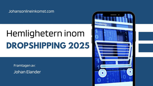 Dropshipping 2025 Gratis kurs!